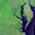 The Crucial Role of the Chesapeake Bay in Sustaining Northern Virginia's Natural Resources