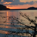 The Importance of Protecting Water Resources in Northern Virginia