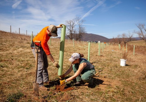 The Impact of Agriculture on Natural Resources in Northern Virginia: An Expert's Perspective