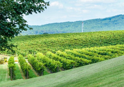 Exploring the Renewable Resources of Northern Virginia